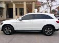 Mercedes-Benz GLC-Class 2017 - Bán xe Mercedes đời 2017, màu trắng, nhập khẩu nguyên chiếc ít sử dụng