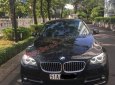 BMW 5 Series 520i 2013 - Bán ô tô BMW 5 Series 520i đời 2013, màu đen, nhập khẩu