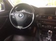 BMW 5 Series 523i 2010 - Bán xe BMW 5 Series 523i SX 2010, màu xám, xe nhập