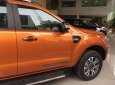 Ford Ranger Wildtrak 3.2L 4x4 AT 2017 - Cần bán Ford Ranger Wildtrak 3.2L 4x4 AT sản xuất năm 2017, nhập khẩu nguyên chiếc