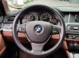 BMW 5 Series 520i 2016 - Cần bán lại xe BMW 5 Series 520i 2016, màu xanh lam, nhập khẩu chính chủ