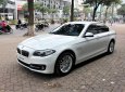 BMW 5 Series 520i 2015 - Cần bán BMW 5 Series sản xuất năm 2015, màu trắng, nhập khẩu