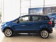 Ford EcoSport Titanium 1.0 EcoBoost 2018 - Bán Ford EcoSport Titanium 1.0 EcoBoost 2018, màu xanh lam, giá chỉ 689 triệu