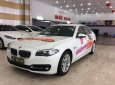 BMW 5 Series 520i 2016 - Cần bán gấp BMW 5 Series 520i năm 2016, màu trắng, nhập khẩu nguyên chiếc số tự động