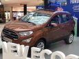 Ford EcoSport Titanium 1.5L AT 2018 - Bán Ford EcoSport Titanium 1.5L AT sản xuất 2018, màu nâu, giá tốt