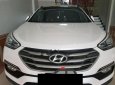 Hyundai Santa Fe  CRDi 2017 - Bán Hyundai Santa Fe CRDi năm sản xuất 2017, màu trắng, giá 995tr