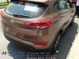 Hyundai Tucson 1.6 Tubor 2017 - Bán xe Hyundai Tucson Tubor tại Hyundai Cần Thơ, Hyundai Tây Đô