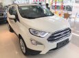 Ford EcoSport Ambiente 1.5L 2018 - Mua Ford EcoSport 2018 chỉ từ 180 triệu, xe đủ màu giao ngay