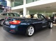 BMW 4 Series 420i Carbiolet 2017 - Cần bán xe BMW 4 Series 420i Carbiolet 2018, màu xanh, nhập khẩu chính hãng. LH: 0978877754
