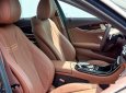 Mercedes-Benz E class E250 2018 - Bán xe Mercedes E250 năm 2018
