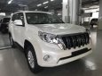 Toyota Prado 2017 - Bán Toyota Prado đời 2017, màu trắng, nhập khẩu nguyên chiếc