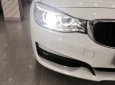 BMW 3 Series 320i GT 2014 - Bán xe BMW 3 Series 320i GT đời 2014, màu trắng, nhập khẩu