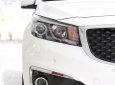 Kia Sedona Gat  2018 - Bán ô tô Kia Sedona Gat đời 2018, màu trắng