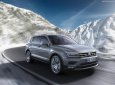 Volkswagen Tiguan 2018 - Xe Volkswagen Tiguan Allspace 2018, (màu sắc đa dạng), nhập khẩu mới 100% - LH: 0933.365.188