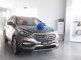 Hyundai Santa Fe 2018 - Cần bán Hyundai Santa Fe đời 2018, màu nâu