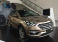 Hyundai Santa Fe 2018 - Cần bán Hyundai Santa Fe đời 2018, màu nâu