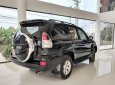 Toyota Prado   GX 2009 - Bán Toyota Prado GX năm 2009, màu đen, nhập khẩu