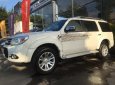 Ford Everest 2.5L 4x2 MT 2013 - Cần bán lại xe Ford Everest 2.5L 4x2 MT sản xuất năm 2013, màu trắng số sàn, giá 635tr