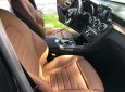 Mercedes-Benz GL C 250 2017 - Bán ô tô Mercedes C 250 2017, màu đen