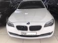 BMW 5 Series 523i 2010 - Cần bán lại xe BMW 5 Series 523i 2010, màu trắng, nhập khẩu nguyên chiếc