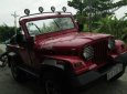 Jeep CJ 5 1980 - Bán xe Jeep CJ 5 đời 1980, màu đỏ, xe nhập chính chủ