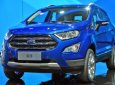Ford EcoSport 2018 - Bán xe Ford EcoSport đời 2018