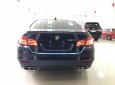BMW 5 Series 520i 2016 - Bán BMW 520i xanh_đen, sản xuất cuối 2016, model 2017