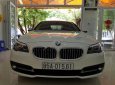 BMW 5 Series 528i 2015 - Bán BMW 5 Series 528i đời 2015, màu trắng, xe nhập