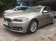 BMW 5 Series 520i 2014 - Bán BMW 5 Series 520i sản xuất năm 2014, màu vàng, nhập khẩu