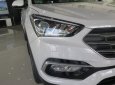 Hyundai Santa Fe 2018 - Bán xe Hyundai Santa Fe -ưu đãi lớn tại Hyundai Cao Bằng