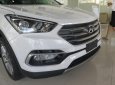 Hyundai Santa Fe 2018 - Bán xe Hyundai Santa Fe -ưu đãi lớn tại Hyundai Cao Bằng