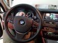 BMW 5 Series 528i 2015 - Bán BMW 5 Series 528i đời 2015, màu trắng, xe nhập