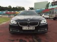 BMW 5 Series 520i 2014 - Bán BMW 5 Series 520i năm 2014, xe nhập khẩu Đức