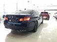 BMW 5 Series 520i 2016 - Bán BMW 520i xanh_đen, sản xuất cuối 2016, model 2017