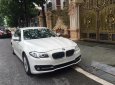 BMW 5 Series 520i 2014 - Chính chủ bán BMW 5 Series 520i 2014, màu trắng, nhập khẩu