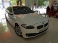 BMW 5 Series 528i 2015 - Bán BMW 5 Series 528i đời 2015, màu trắng, xe nhập