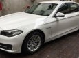 BMW 5 Series 520i 2015 - Bán BMW 5 Series 520i đời 2015, màu trắng