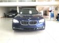 BMW 5 Series 520i 2016 - Bán BMW 520i xanh_đen, sản xuất cuối 2016, model 2017