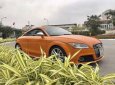 Audi TT 2009 - Bán xe Audi TT đời 2009, nhập khẩu, 850tr