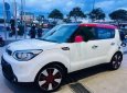 Kia Soul  2.0 2014 - Bán ô tô Kia Soul 2.0 đời 2014, hai màu, nhập khẩu ít sử dụng