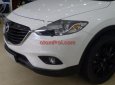 Mazda CX 9 2014 - Bán Mazda CX 9 sản xuất 2014, màu trắng, xe nhập  