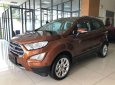 Ford EcoSport 1.5L AT Titanium  2018 - Bán Ford EcoSport 1.5L AT Titanium đời 2018, màu cam, 648 triệu