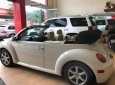 Volkswagen Beetle 2.5 2004 - Cần bán xe Volkswagen Beetle 2.5 2004, màu nâu, xe nhập, 360tr