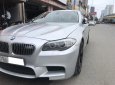 BMW 1 Cũ  5 523i 200 2010 - Xe Cũ BMW 5 523i 2010