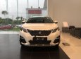 Peugeot 3008 1.6 AT 2018 - Bán ô tô Peugeot 3008 1.6 AT sản xuất năm 2018, màu trắng