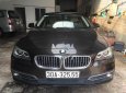 BMW 5 Series 520i 2013 - Bán BMW 5 Series 520i đời 2013, màu xám, nhập khẩu