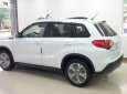 Suzuki Vitara 1.6L 2018 - Bán xe Suzuki Vitara nhập châu Âu 2018 mới