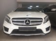 Mercedes-Benz GL Cũ Mercedes-Benz A 250 2015 - Xe Cũ Mercedes-Benz GLA 250 2015