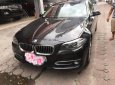 BMW 5 Series 520i 2013 - Bán BMW 5 Series 520i sản xuất năm 2013, màu nâu, nhập khẩu nguyên chiếc như mới