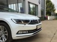 Volkswagen Passat 1.8TSI 2017 - Bán Volkswagen Passat 1.8TSI 2017, màu trắng, nhập khẩu  